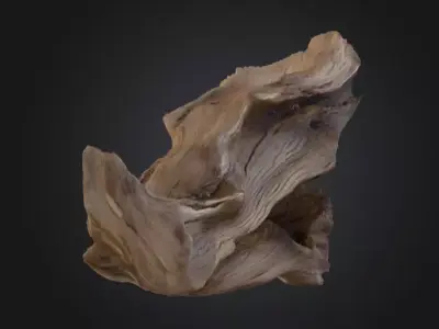 Desolate Driftwood Low-poly 3D model