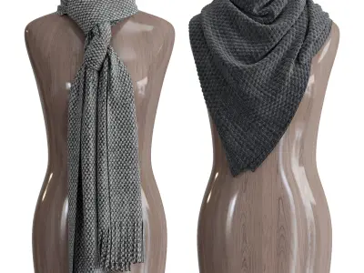 Shawl over the body 3 3D model