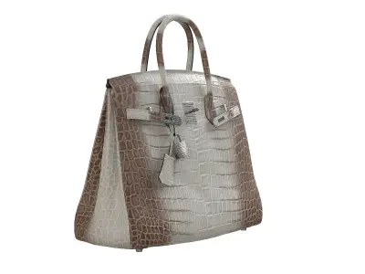 Hermes Birkin Bag Alligator White Low-poly 3D model