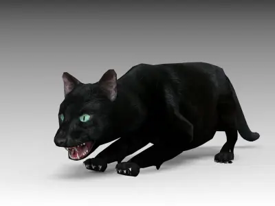 Black Cat Animated Low-poly 3D model