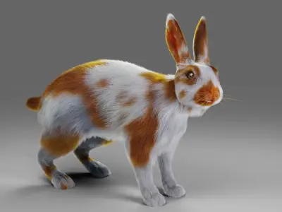 Fur Rabbit Gray V03 Rigged Low-poly 3D model