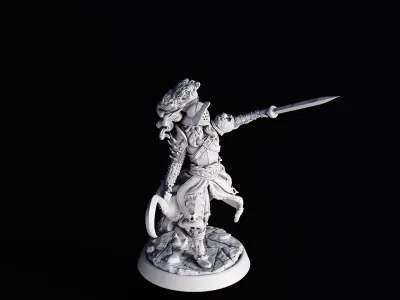 My sterious Champion 3D print model
