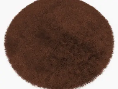 Carpet Snow H169-brown round 3D model