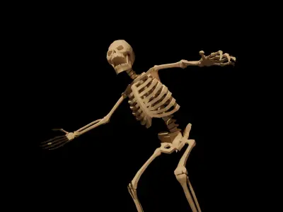 Skeleton low-poly stylized Low-poly 3D model