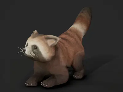 red panda Low-poly 3D model