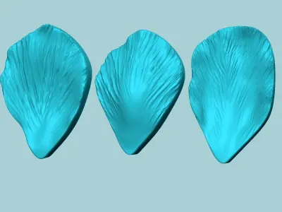 03 Tulip Flower Petals - Molding Artificial EVA Craft 3D Model Collection