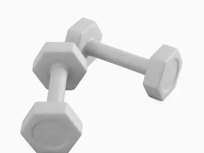 Small Rubber Dumbbell 02  3D model