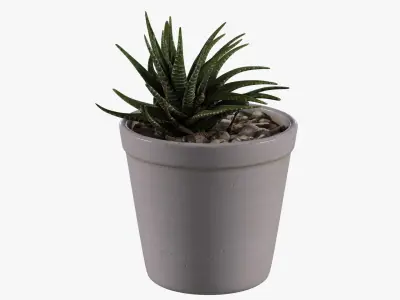 DESK PLANT Low-poly 3D model