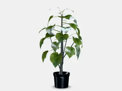 FEJKA Artificial potted plant 1 Low-poly 3D model