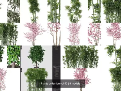 Plants collection vol 53