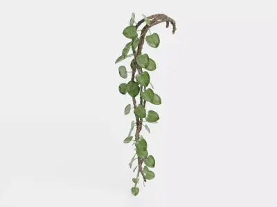 -Liana Plant V1- 3D model