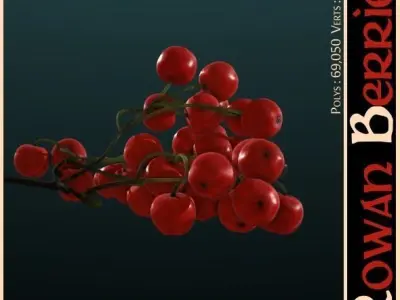 Rowan Berries 3D model