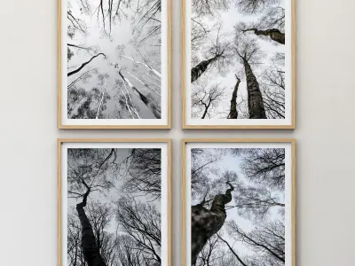 JUNIQE Forest winter 3D model