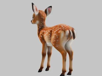 Realistic Deer Fawn 3D Model Low-poly 3D model