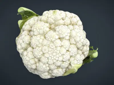 Cauliflower Low-poly 3D model
