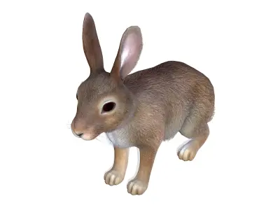 Rabbit Low-poly 3D model