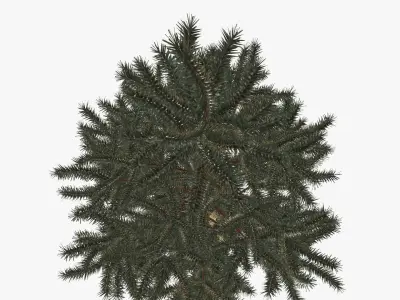 Fir tree artificial 05 3D model