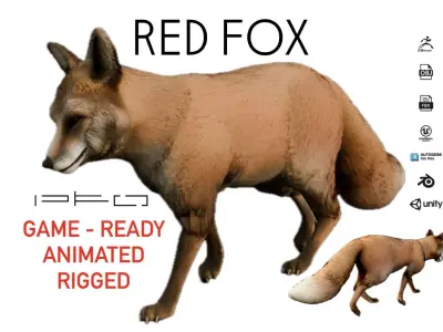 Realistic Red Fox Low-poly 3D model