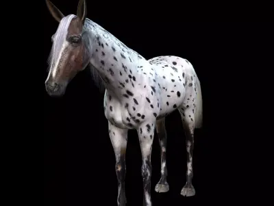 Thoroughbred Arabian Horse WILD WORLD PONY 6 Low-poly 3D model