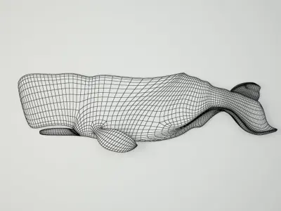 Hand-Carved Sperm Whale 7 3D model