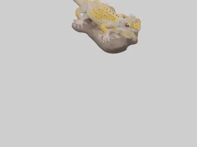 Leopard Gecko lounging model Low-poly 3D model