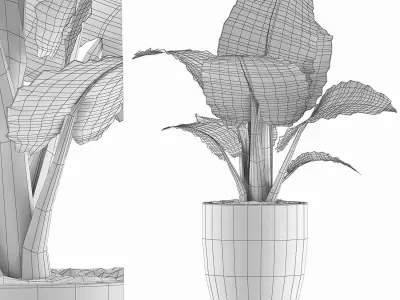 Plants Collection 67 3D model