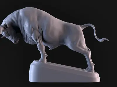 Bull Fight 3D print model
