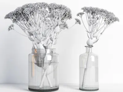 Sedum flower in glass vase 3D model