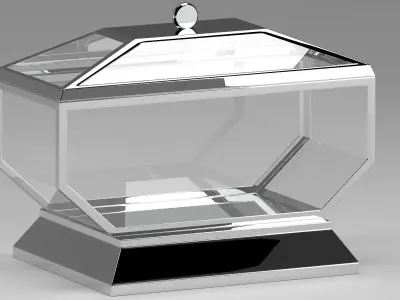 Glass Box 3D model