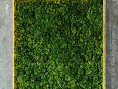 Moss modules 3D model