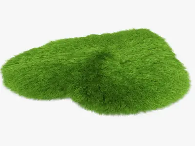 Green Heart rug 3D model
