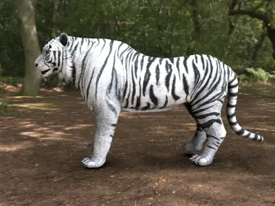 white tiger  Low-poly 3D model