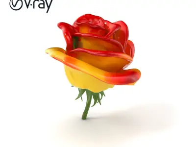 Rosa Bicolor Gradient Rose Flower model pack Low-poly 3D model