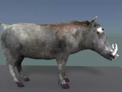 warthog 3D model