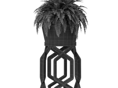 Plants collection 413 3D model