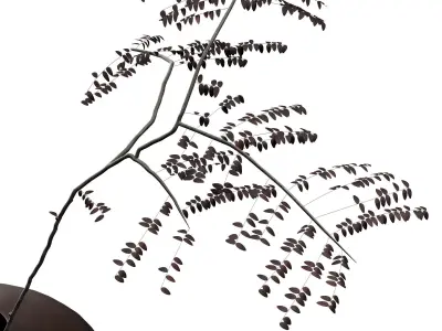 Decorative set with Audo Pavot vase and acacia branch 3D model