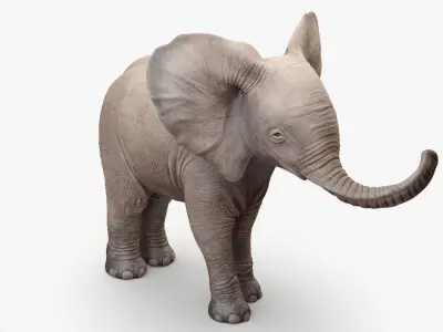 Animated Elephant  baby 8K Low-poly 3D model