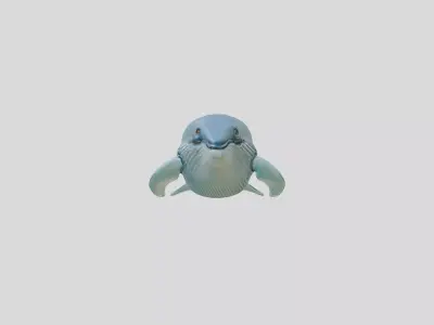 Blue Whale Realistic 3D Model Ocean Mammal Low-poly 3D model