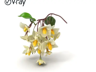 White Wisteria Snow-White Petals Floral model pack Low-poly 3D model