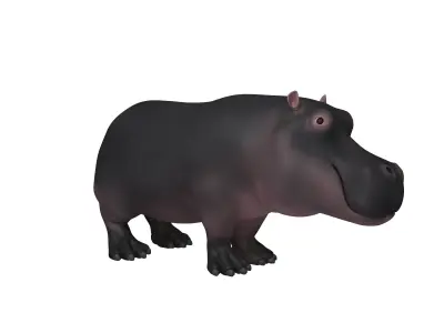 Hippopotamus Cartoon 3D model