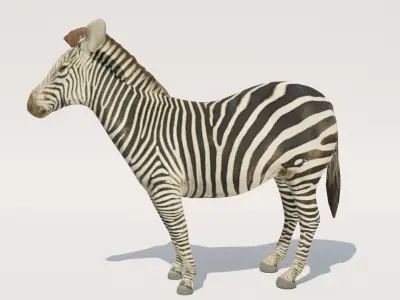 Low-Poly Zebra Low-poly 3D model