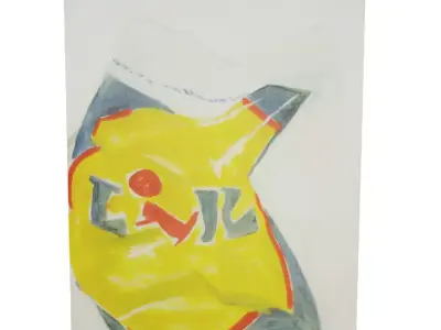 Canvas - Plaggy Bag Low-poly 3D model