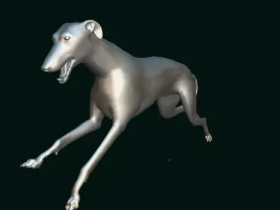 GreyHound Dog Breed Low-poly 3D model