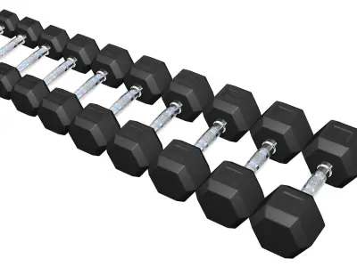 Dumbbell Collection dumbbells - 3D model