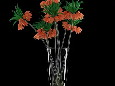 Fritillaria Imperials Bouquet 3D model