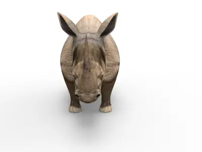 3d Rhino rigged with Animated Rhinoceros realistic Model Low-poly 3D model