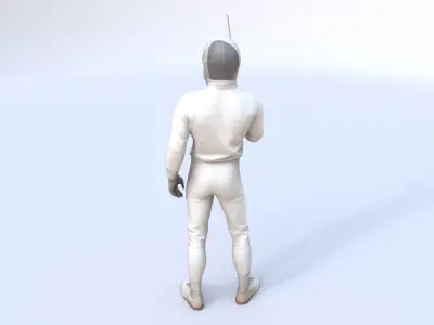Fencing 3D model
