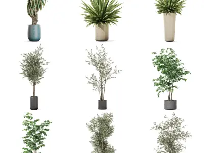 Plants collection vol 52