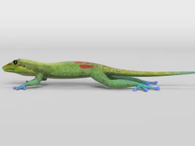 Gecko Low-poly 3D model