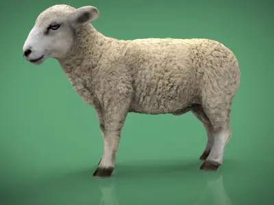 SHEEP Low-poly 3D model